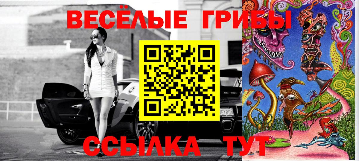 Ахтубинск  Галлюциногенные грибы прущие грибы  Вход с VPN  Псилоцибиновые грибы Psilocybine cubensis 