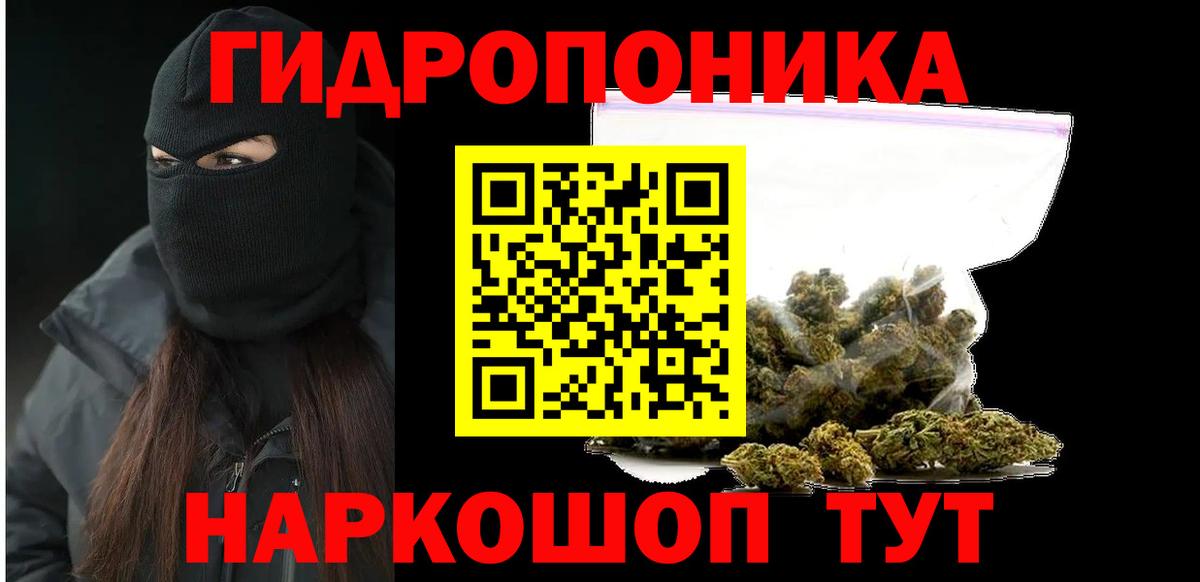 Конопля марихуана Ахтубинск